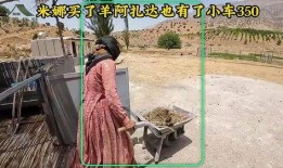 伊朗女人米娜最新爆料,揭秘神秘生活细节